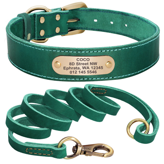 Leather Dog Collar with Nameplate and Leash