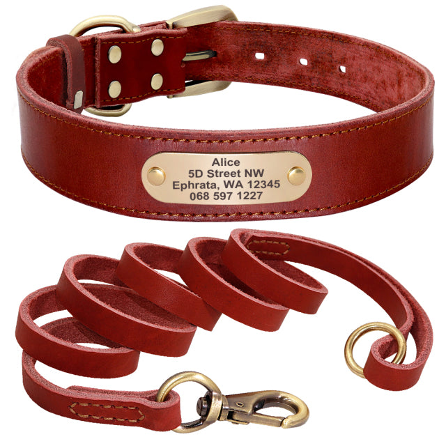 Leather Dog Collar with Nameplate and Leash