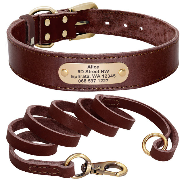 Leather Dog Collar with Nameplate and Leash