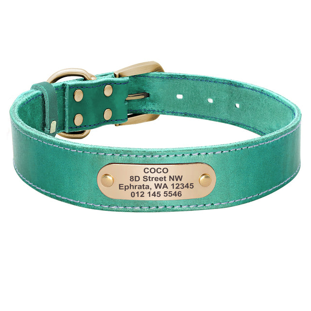 Leather Dog Collar with Nameplate and Leash