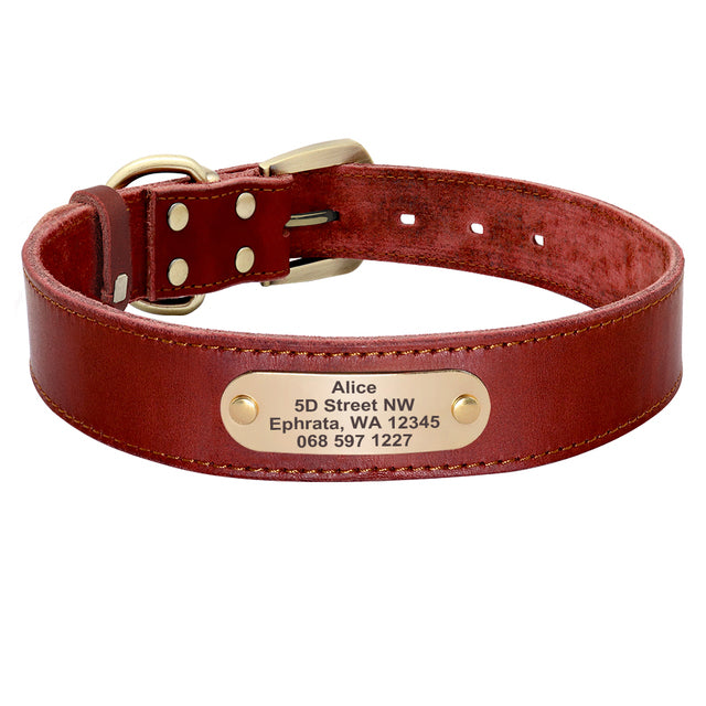 Leather Dog Collar with Nameplate and Leash