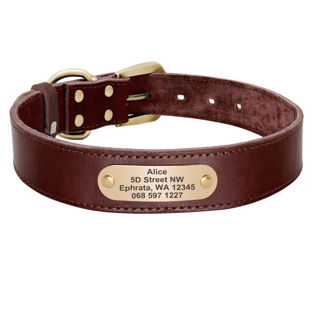 Leather Dog Collar with Nameplate and Leash