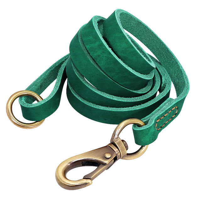 Leather Dog Collar with Nameplate and Leash