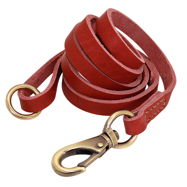 Leather Dog Collar with Nameplate and Leash