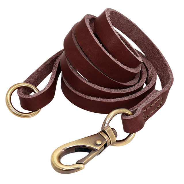 Leather Dog Collar with Nameplate and Leash