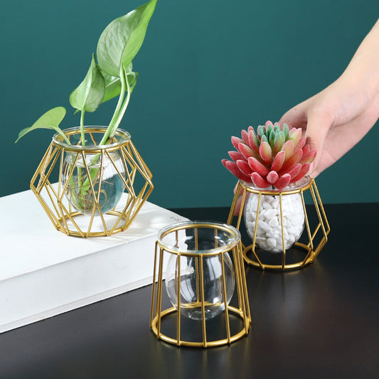 Nordic Iron Golden Hydroponic Glass Vase Creative Home Ornaments Living Room Desktop Decoration Geometric Flower Plant Vase