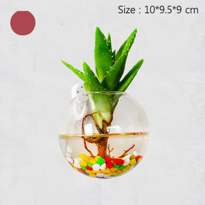 Creative Transparent Hydroponic Wall Flower Vase Green Plants Wall Hanging Decoration Nordic Vases Home Decoration Ornament