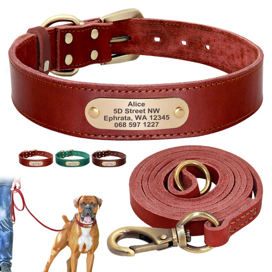 Leather Dog Collar with Nameplate and Leash