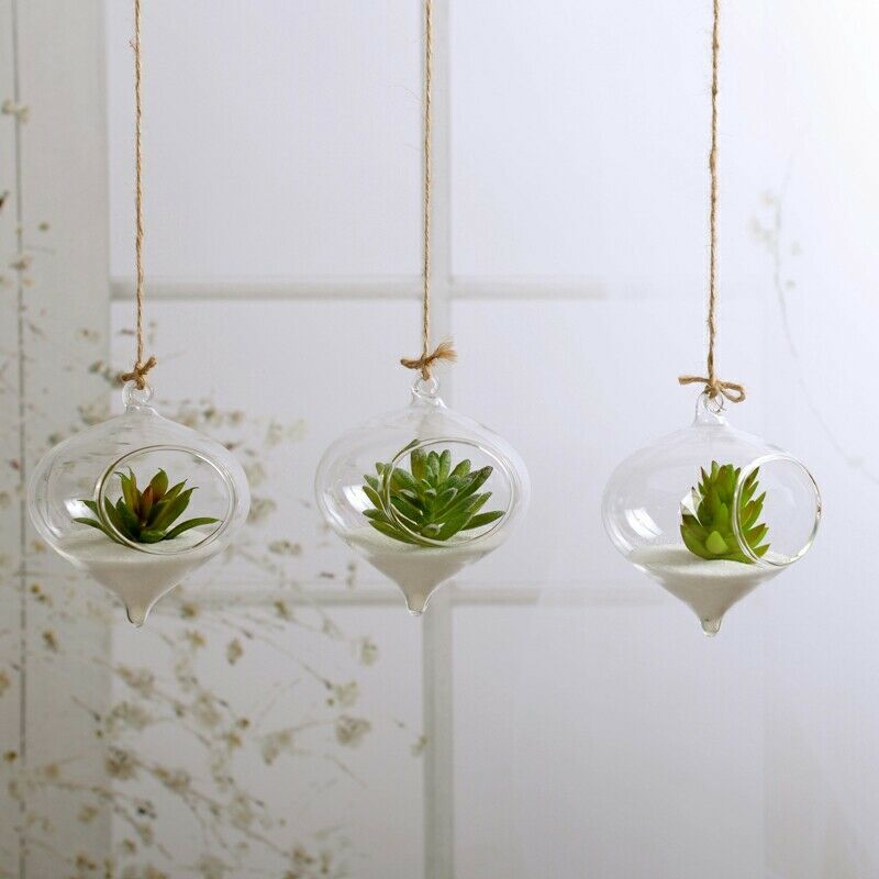 Terrarium Ball Globe Shape Clear Hanging Glass Vase Flower Plants Container Ornament Micro Landscape DIY Wedding Home Decor