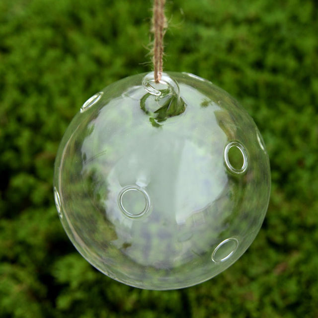 Terrarium Ball Globe Shape Clear Hanging Glass Vase Flower Plants Container Ornament Micro Landscape DIY Wedding Home Decor