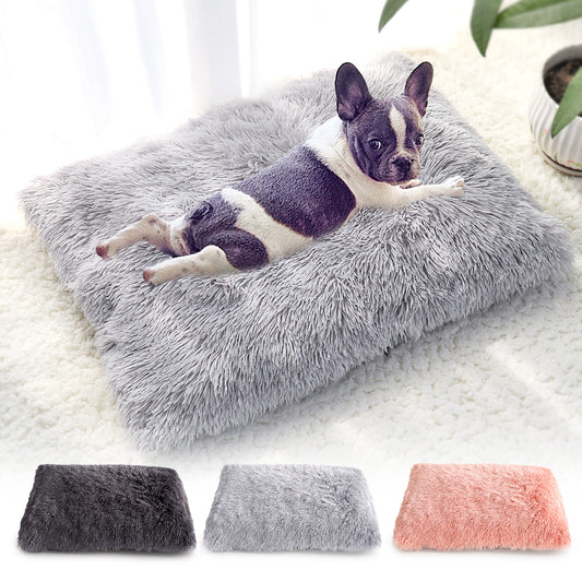 Plush Dog Bed