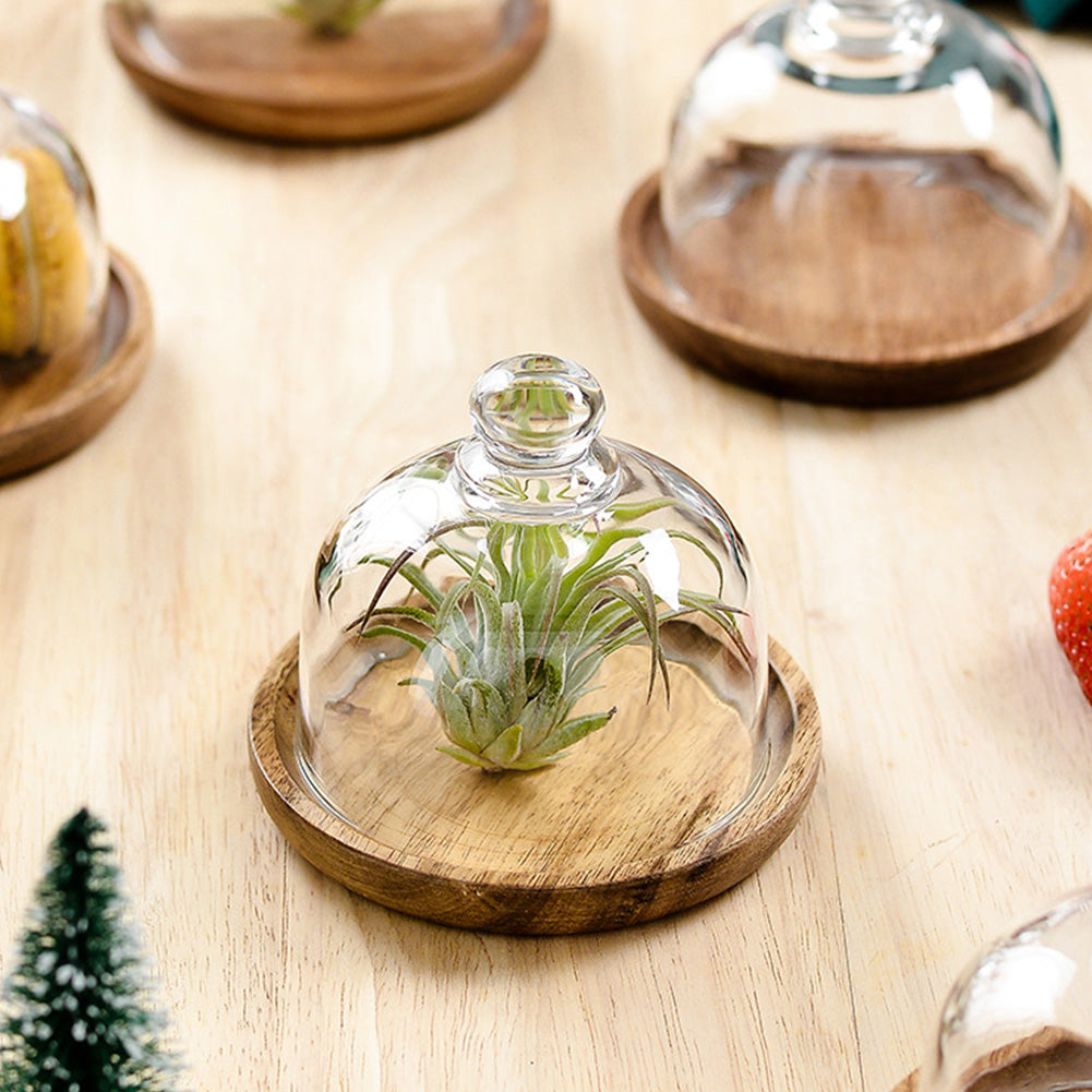 Mini Dessert Serving Stand with Dome Lid