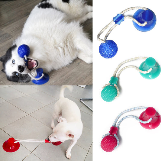 Dog Toys Interactive Suction Cup