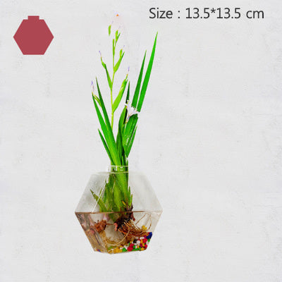 Creative Transparent Hydroponic Wall Flower Vase Green Plants Wall Hanging Decoration Nordic Vases Home Decoration Ornament