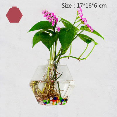 Creative Transparent Hydroponic Wall Flower Vase Green Plants Wall Hanging Decoration Nordic Vases Home Decoration Ornament