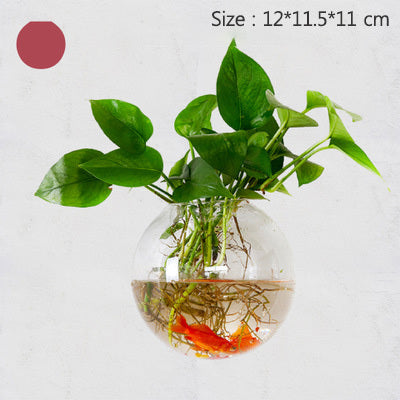 Creative Transparent Hydroponic Wall Flower Vase Green Plants Wall Hanging Decoration Nordic Vases Home Decoration Ornament