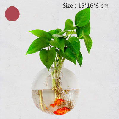 Creative Transparent Hydroponic Wall Flower Vase Green Plants Wall Hanging Decoration Nordic Vases Home Decoration Ornament